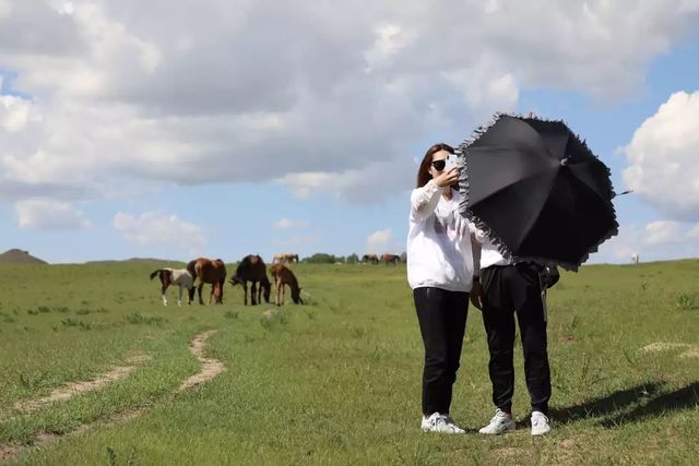乾港集團高層草原自駕游 乾港集團高層草原自駕游