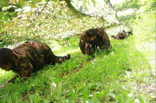 乾港集團,乾港官網,乾港網絡,室內空氣凈化公司 乾港集團,乾港官網,乾港網絡,室內空氣凈化公司